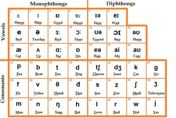 Bảng phiên âm quốc tế IPA là gì và tại sao người mới bắt đầu cần biết?