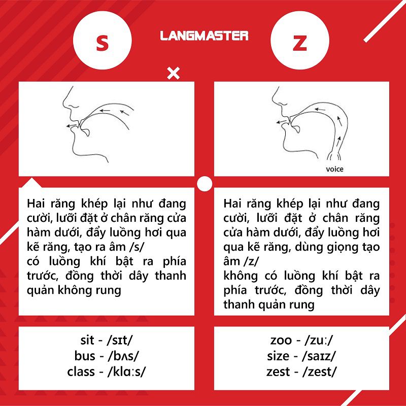 Hướng dẫn cách học phát âm IPA toàn diện cho người mới bắt đầu